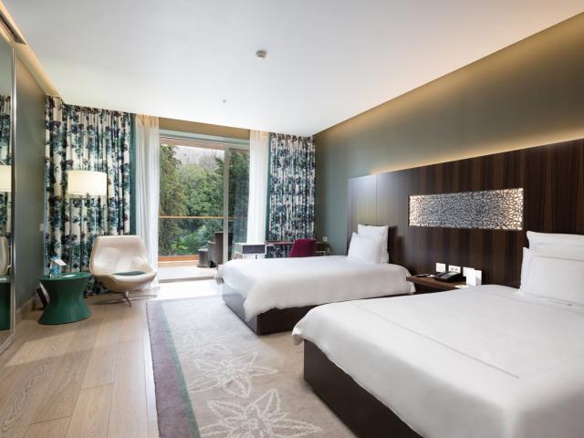 Отель «Swissôtel Resort Сочи Камелия» стандарт Отель «Swissôtel Resort Сочи Камелия» стандарт