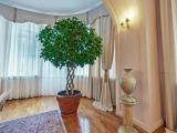 «Апартамент» в VIP-корпусе «Белая Вилла»