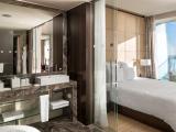 Отель «Swissôtel Resort Сочи Камелия» премиум