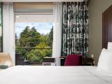 Отель «Swissôtel Resort Сочи Камелия» стандарт Отель «Swissôtel Resort Сочи Камелия» стандарт